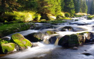 water stroomt langs rotsen